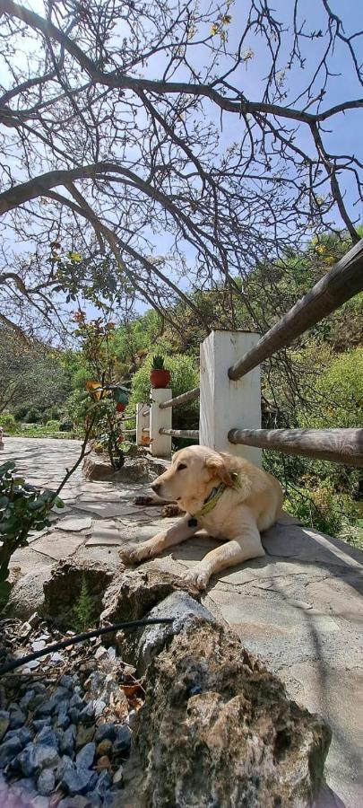Molino Laroya Villa Exterior photo